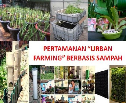 Urban Farming
